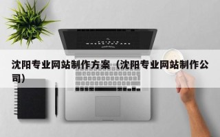 嘉善沈阳专业网站制作方案（沈阳专业网站制作公司）